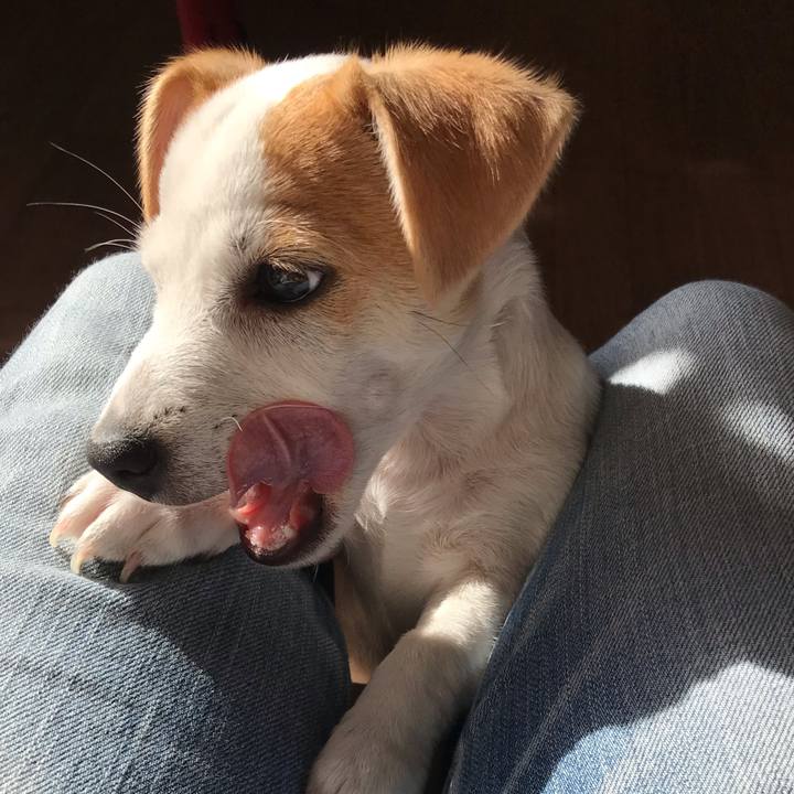 763acc33 d3e0 47ea 8735 56191da2fee4 1544153073950