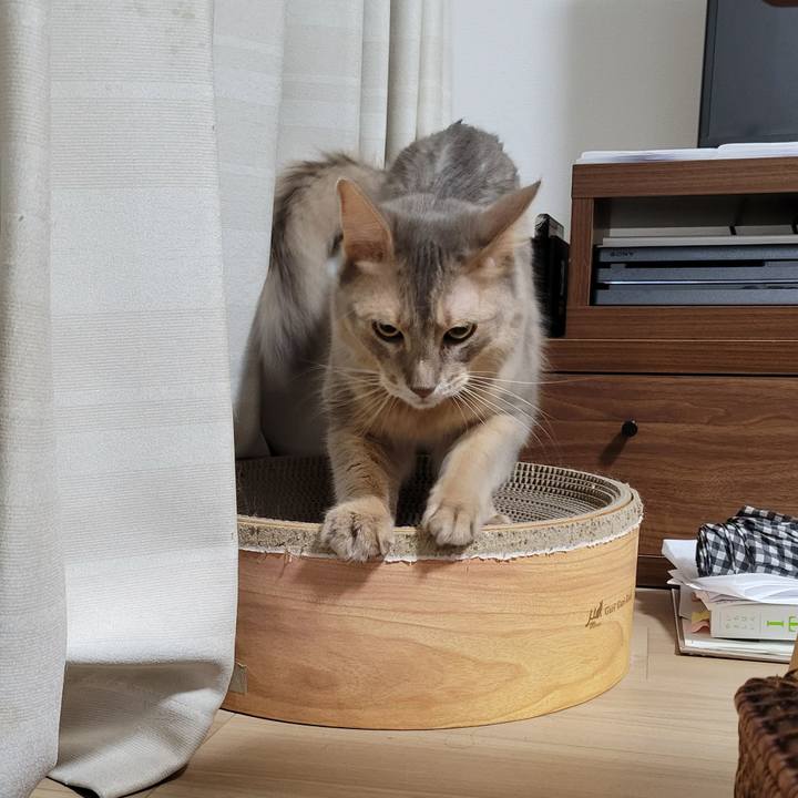 763ae304 6f09 46ba bdfd a72f9d63b27d 1657806962167