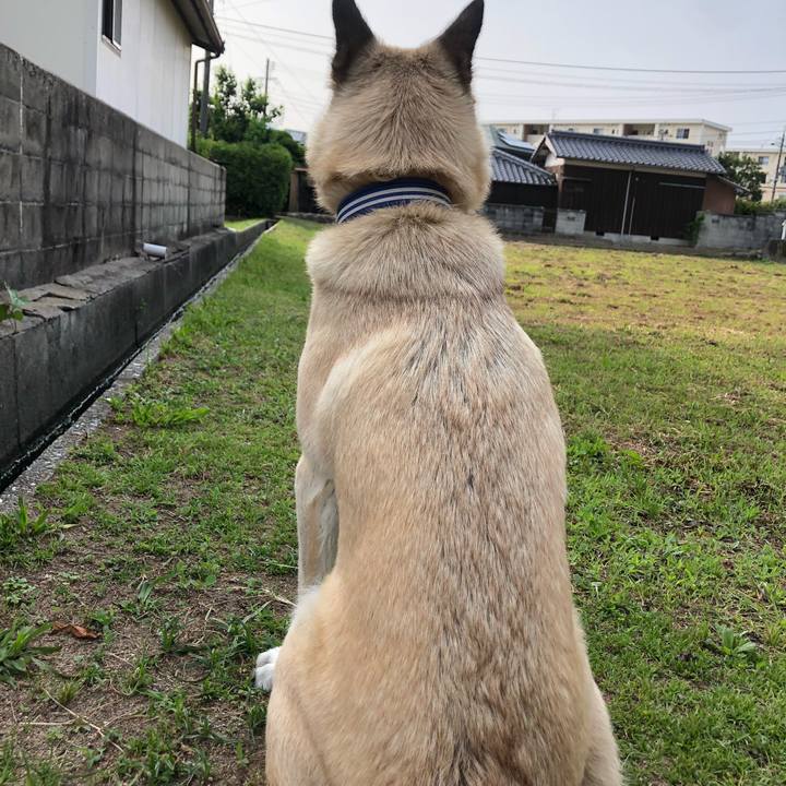 763ae4b7 158c 42b7 8311 1fb85f13aba7 1591273891780