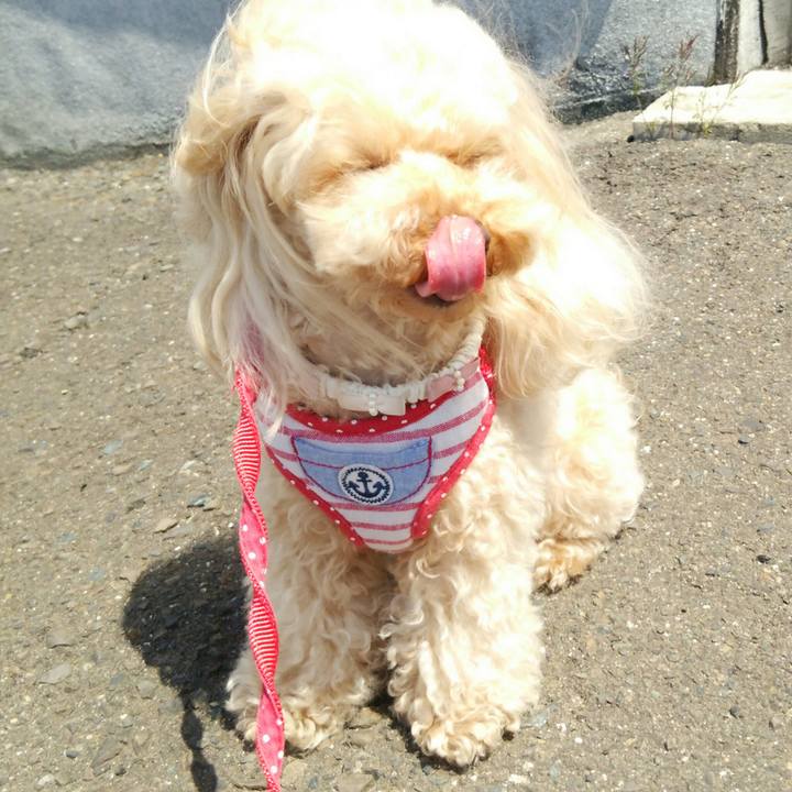 763af600 aebe 4d8d a68c 6411fa13acad 1524284628887