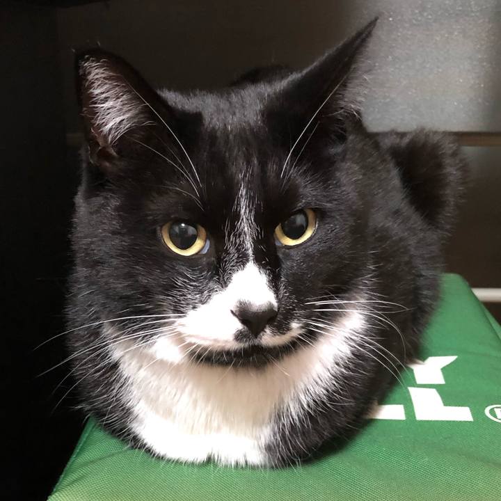 763b0369 f842 4ff1 aa51 91ab26bc36f0 1643946172026