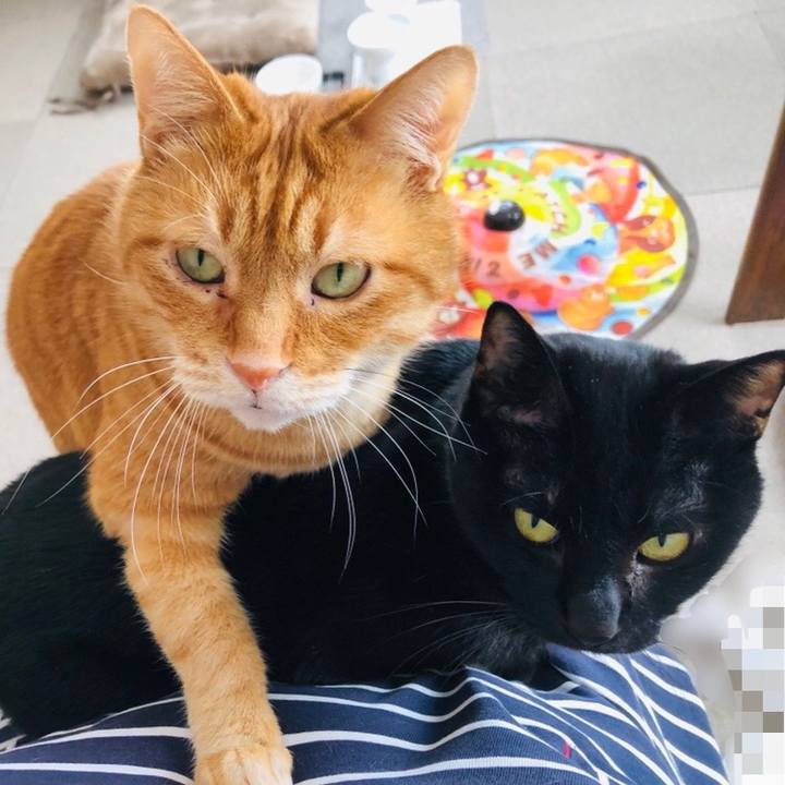 763b100b 6bc4 456a 8dd7 509c3466de62 1677896880209