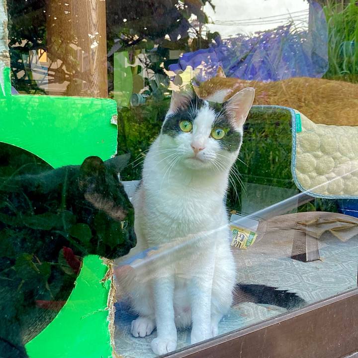 763b148d 4fde 4e79 ba0d 1ccbbd007efb 1656559635463