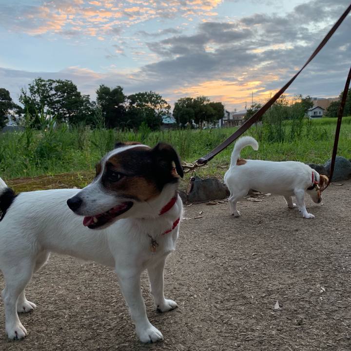 763b369d 47ad 424d 8646 1fe9df4b1e51 1565003635372