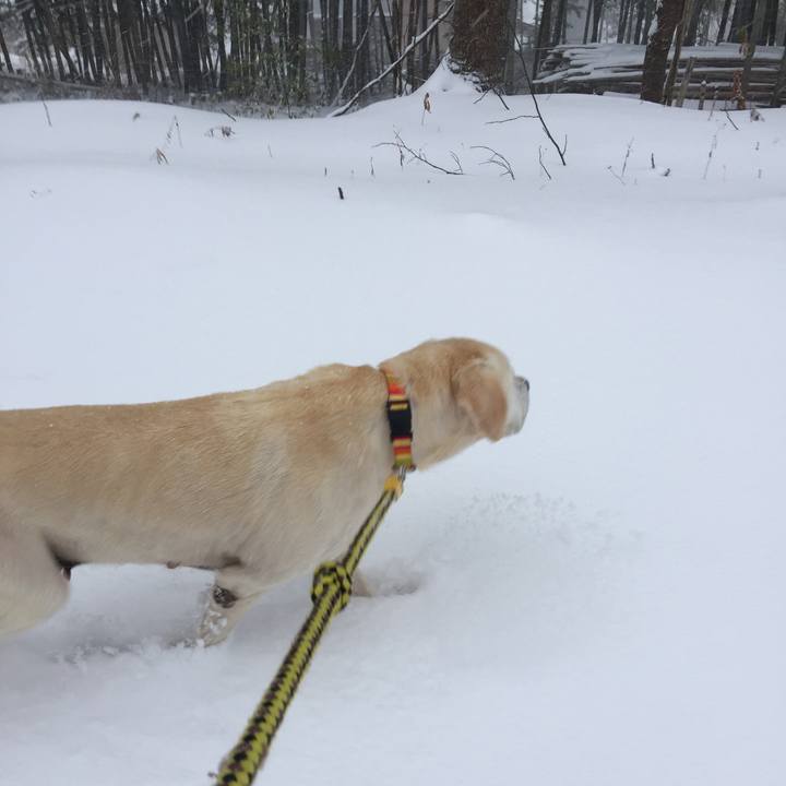 763b8b67 5b38 4623 9e65 1be37d4ef7db 1514357169907