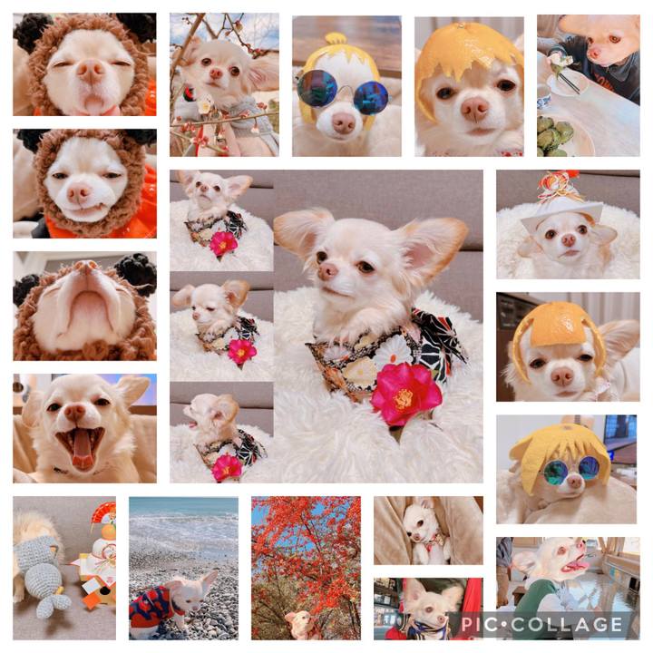 763bae7a d685 41c1 836f f86c7287b2df 1697174202331