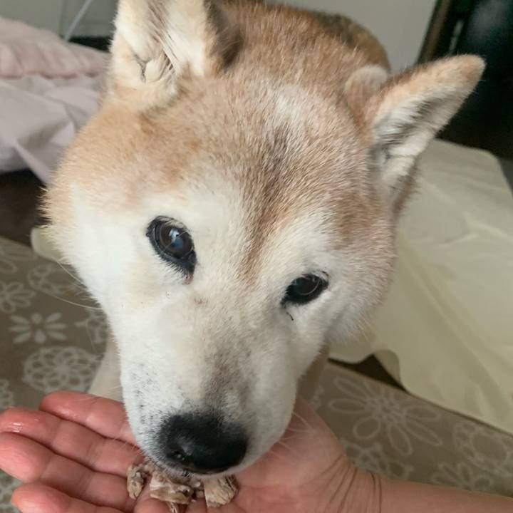 763be0e5 5222 4ff3 9eb5 f4049e43f551 1681545728209