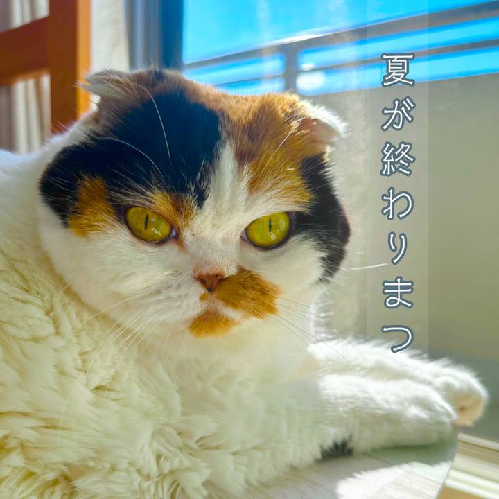 763c3059 eae9 473a bfdc 69a9aa40364d 1725527926090