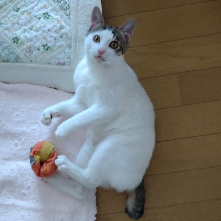 763c48af 5a69 4ac8 b672 bc5d991e872f 1640924562365