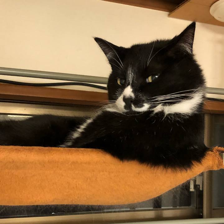 763ca2ac 09aa 44e6 9e42 707f3a61a6b5 1590549653533