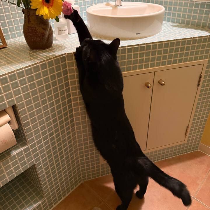 763cc3a0 6355 4e43 8070 0a57a2dc65b8 1773651828486