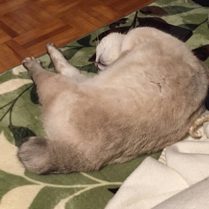 763ccaca a9bd 47c2 b024 5849c7bc2ed8 1580211288081