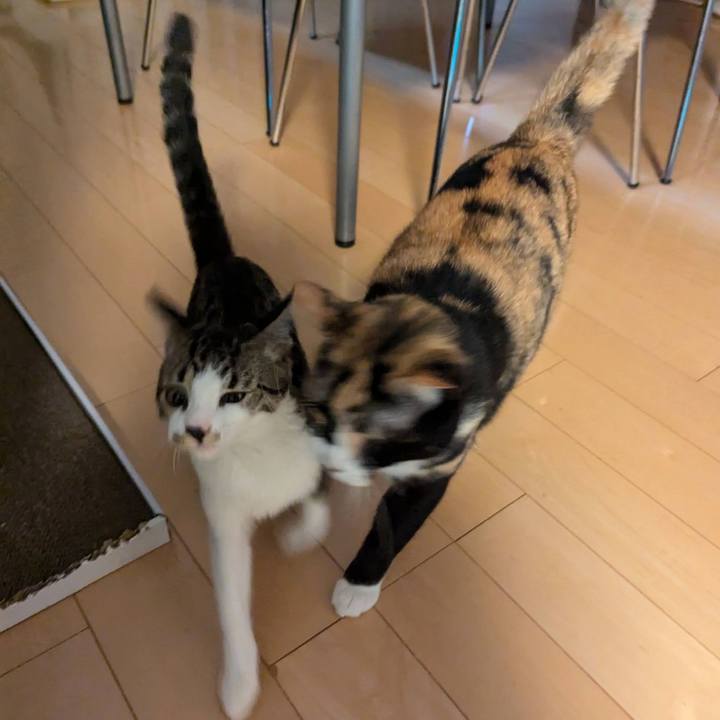 763ccd96 c1d7 4769 9ca1 09b620723938 1726556518249