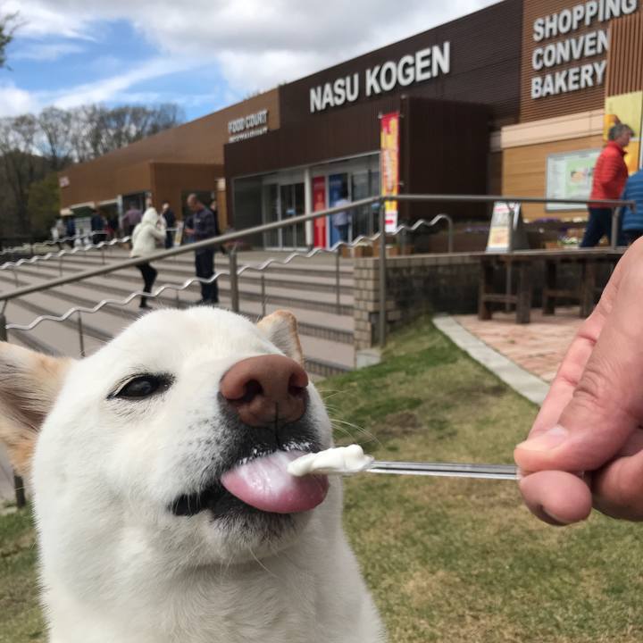 763cd83e 91bf 447e ac3f 3619860c00c8 1556332353249