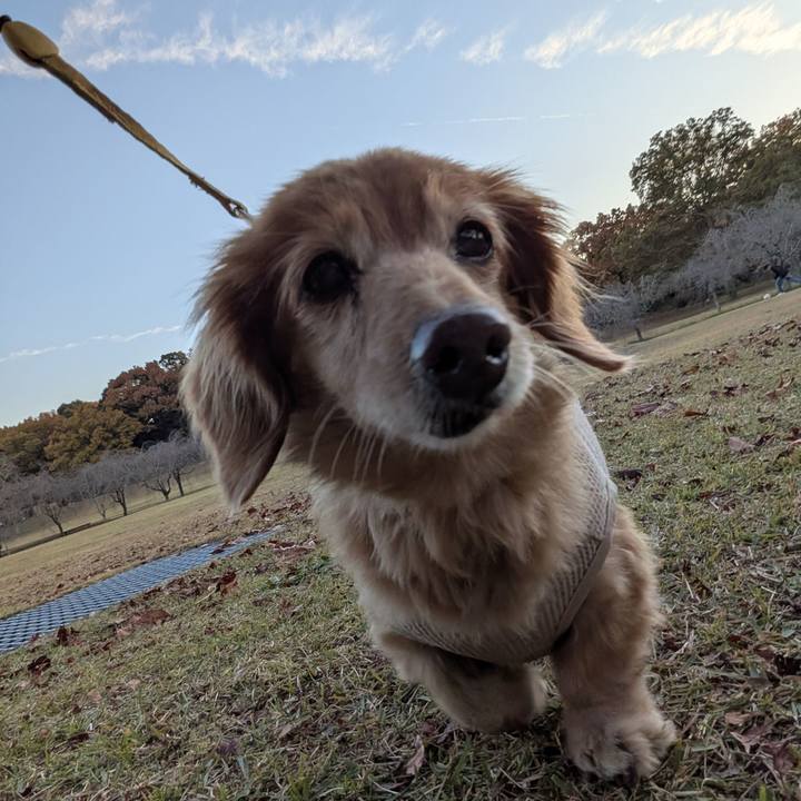 763cdcc4 d420 4f1c 9307 41f0ebc5bacf 1764629262930