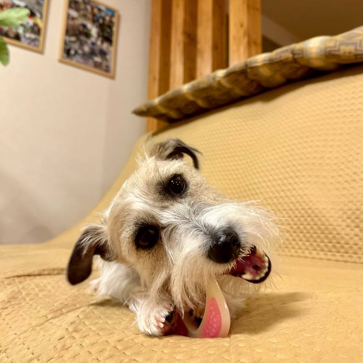 763cef35 0872 47e9 b54f 48806501d305 1703430287815