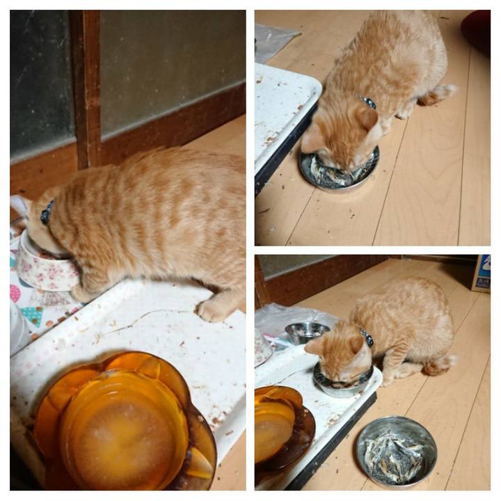 763d23e8 8bd6 43f2 9678 47340c9593e6 1635193664572