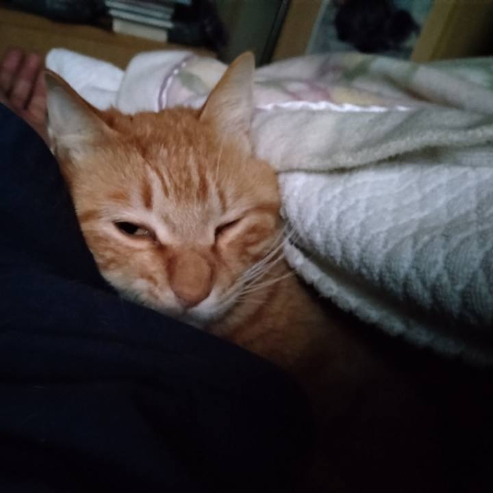 763d4479 77ea 4997 8979 6eacd6ca0d14 1680555025705