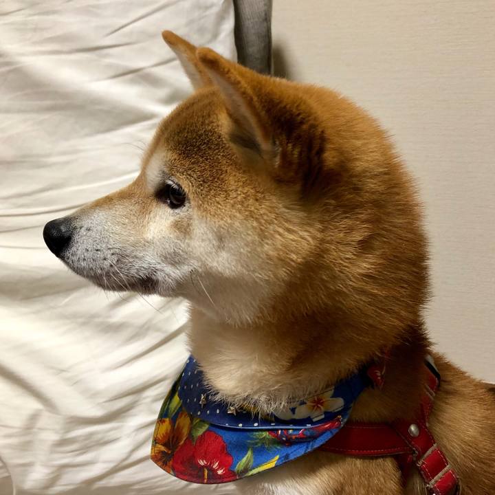 763d6972 277e 4b9f 8ede 443123b61805 1546070177634