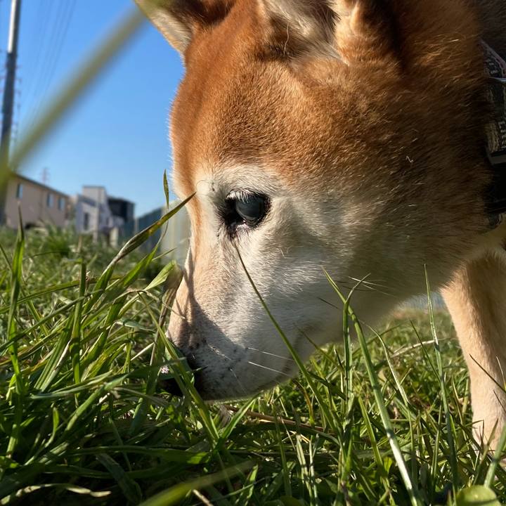 763d7fbe d6b7 4bd3 ad4b 1af69e063fb9 1734753492986