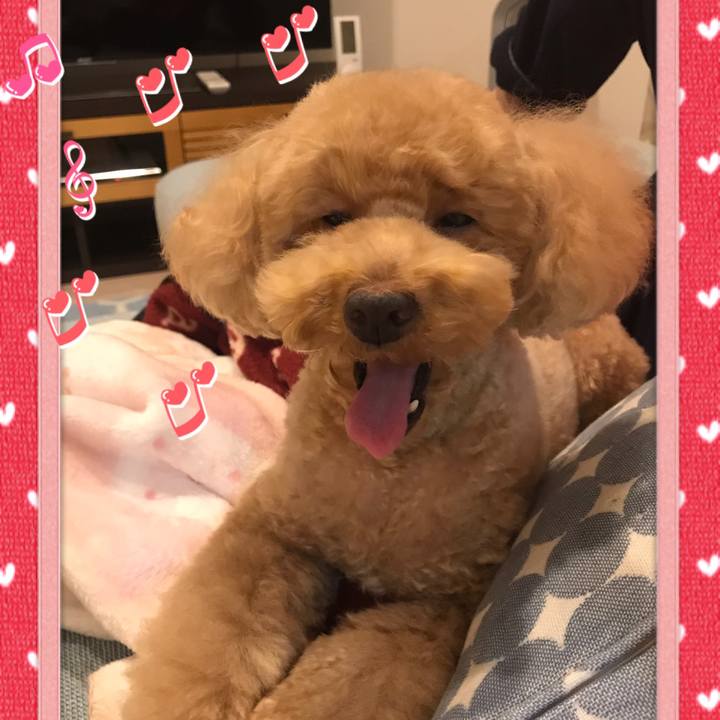 763d87c0 a1bc 42d6 a356 05b78f9b3fea 1549288270868