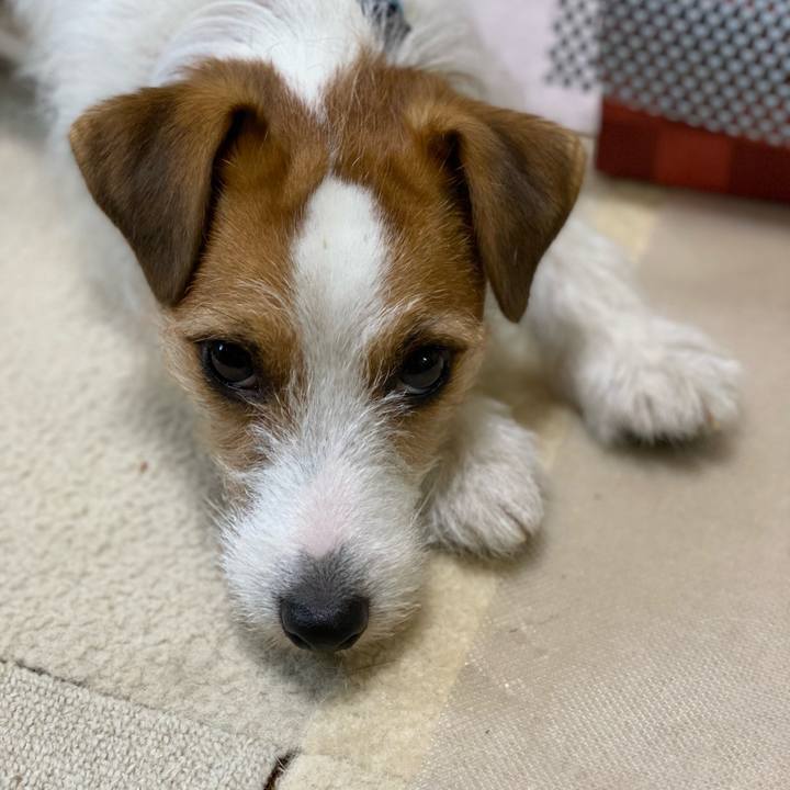 763d92c3 6648 46c6 8d40 77943ebf6ccb 1700778223306