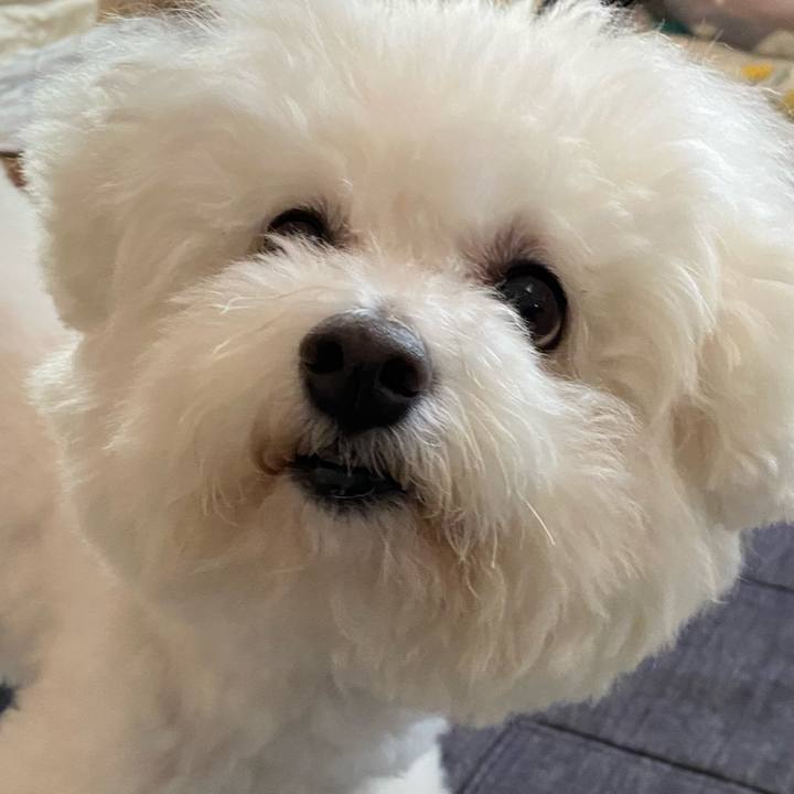 763d9b27 21e2 4dec ac3b 09e613c45e47 1658786066198