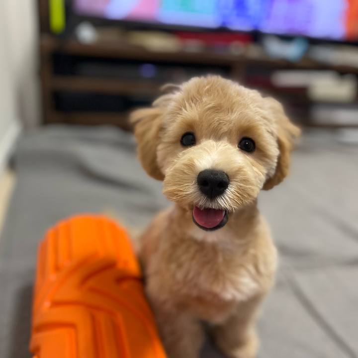 763dc44a 5e59 4d42 a440 daec3572e8a6 1756977780758