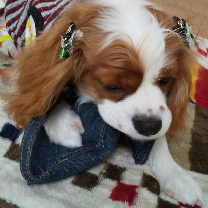 763dc55e 977e 493a 8704 ca2be25ff955 1575784701479