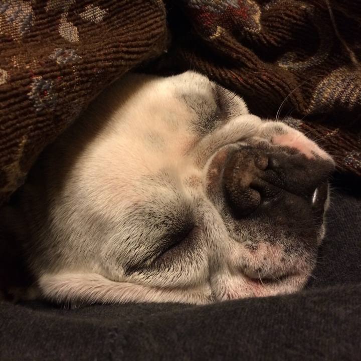 763de78a 2fa9 4015 8c29 28b21050f70f 1518340683998