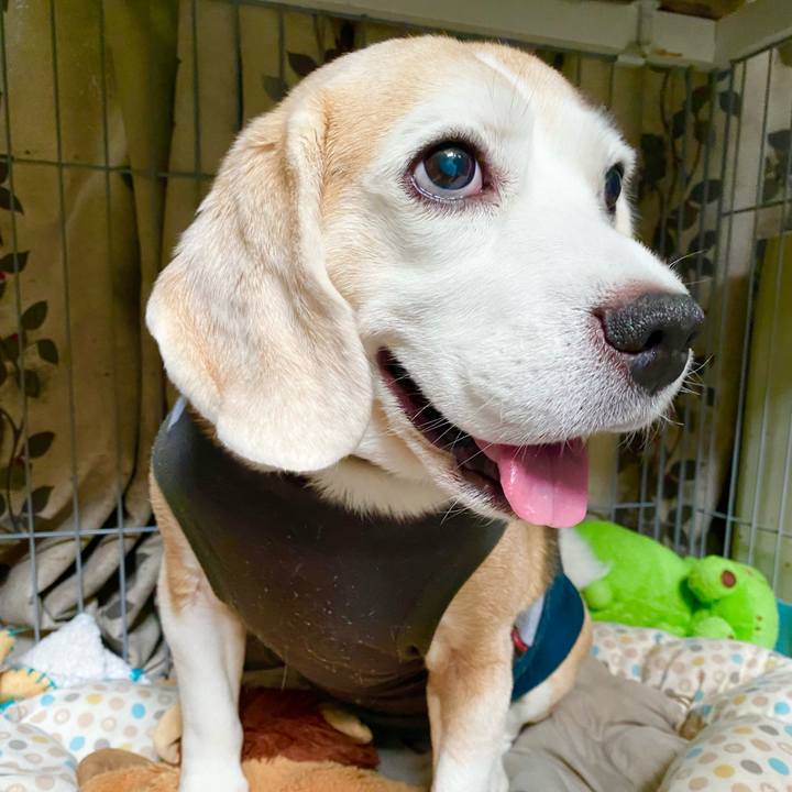 763e2b84 d614 4d0e aa14 0f7aa9daffc9 1628307165183