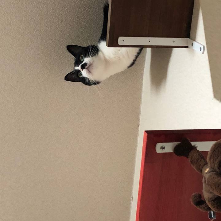 763e7ed3 8803 44f4 bc90 ef385ca2b022 1536241533529