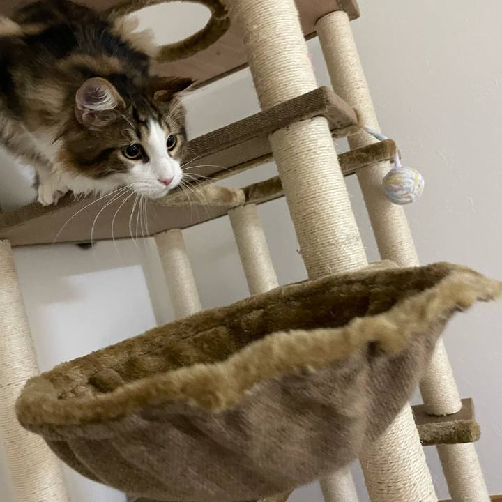 763ea02d 6521 40dc a263 d974b163bfbd 1637876649712