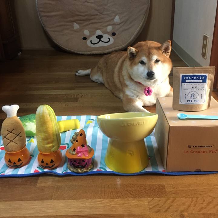 763ea58c 2dc0 4038 bd72 9e1ee29ce294 1632098041578