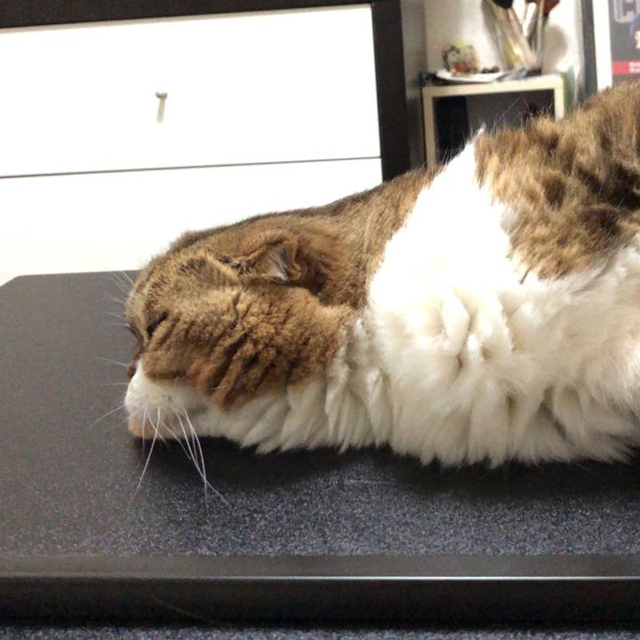 763ec83a 5107 4e00 80f2 8fddc947481c 1539011384601