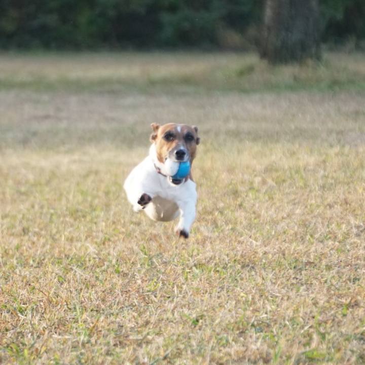 763ee3e4 670c 47f3 bb9c 3bdc5e5ad2a3 1541026155764