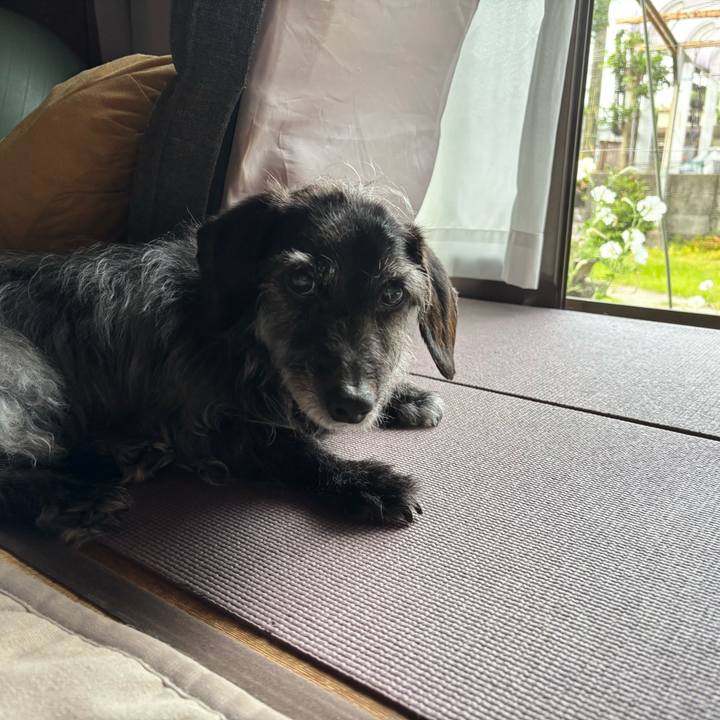 763ee7b0 9c6a 4375 bfdc ff3428e75cb4 1750374405176