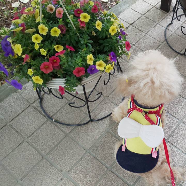 763f02a4 5273 4bfd 88ea 9ca3d4fc5ecc 1589606112131