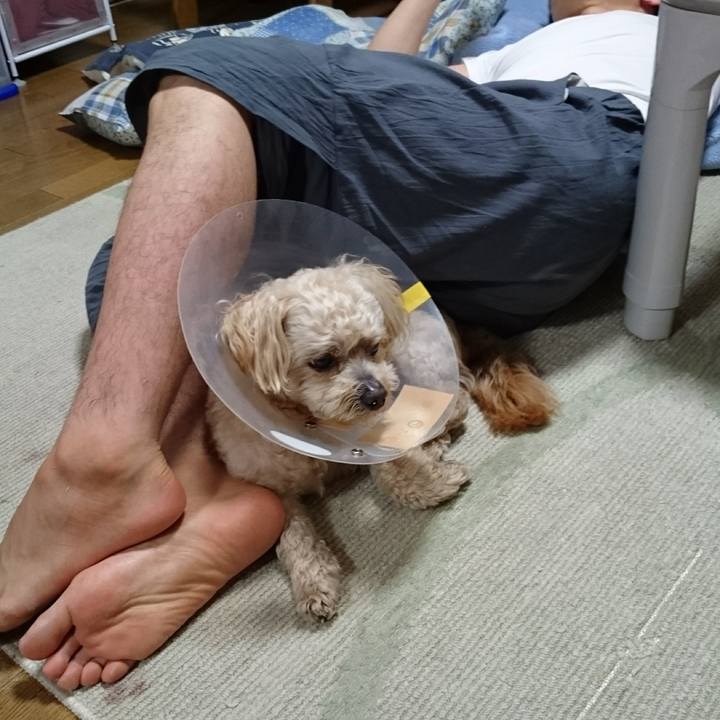 763f0693 4c0b 4d9c 84f3 f26a560e5fdc 1591097546242