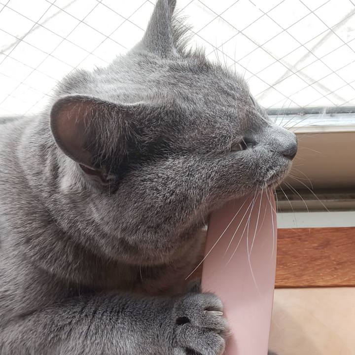 763f207c 70c9 4eb1 999c 6fe6f1b7f3c0 1536714133924