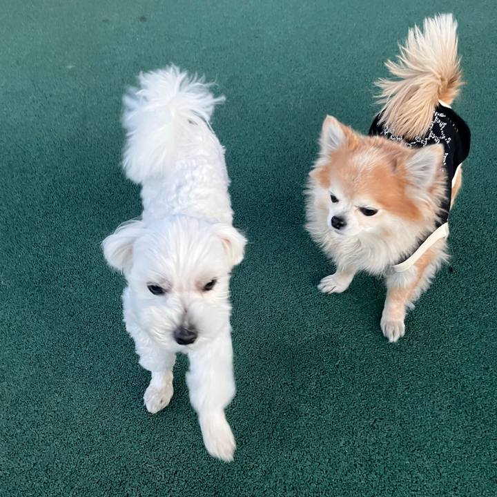 763f5fe7 7ee8 4643 b011 6edfb69b7c6e 1769335575200