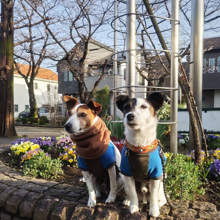 763f630e 2f15 493e 9f9b 970afcc67fe1 1774568293196