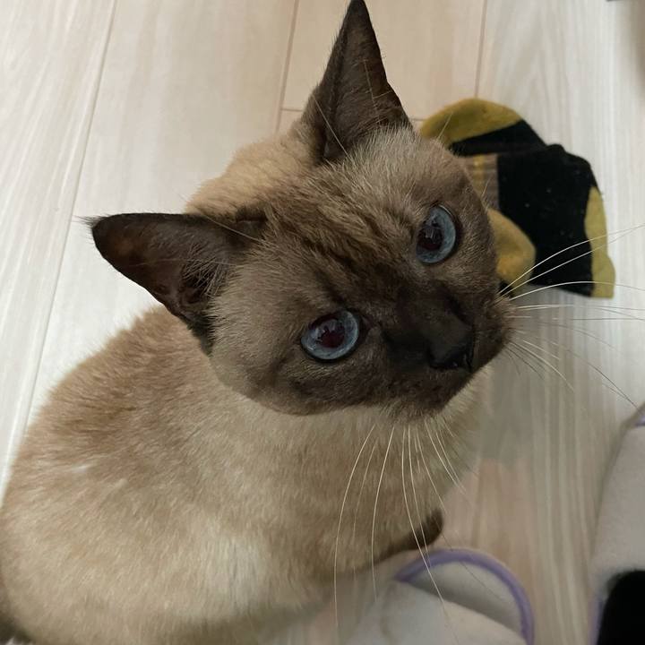 763f82ce 63d9 49f4 af49 47598fe15e0e 1764391437384