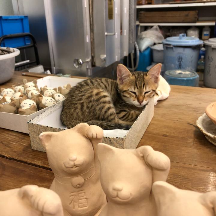 763f8895 2c07 4634 bbbf 4e7fbaa239a8 1577058941237