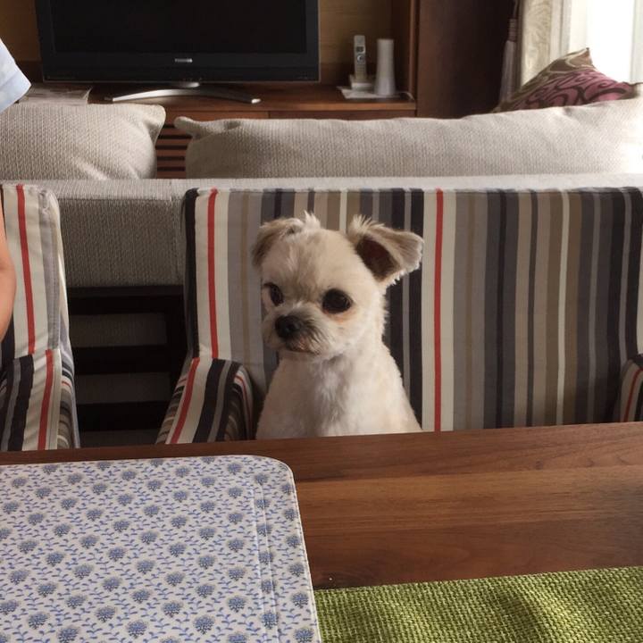 763fae9c 67d9 4dd5 93f4 2ea7fda4cdec 1531712446984