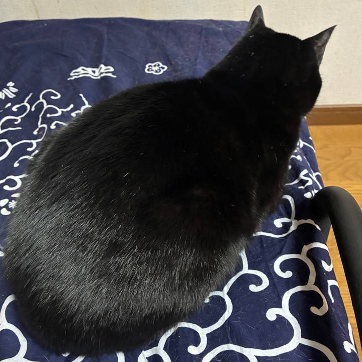 763fc6b0 44e8 4db7 ab34 a35ea4dc2f79 1762778601224