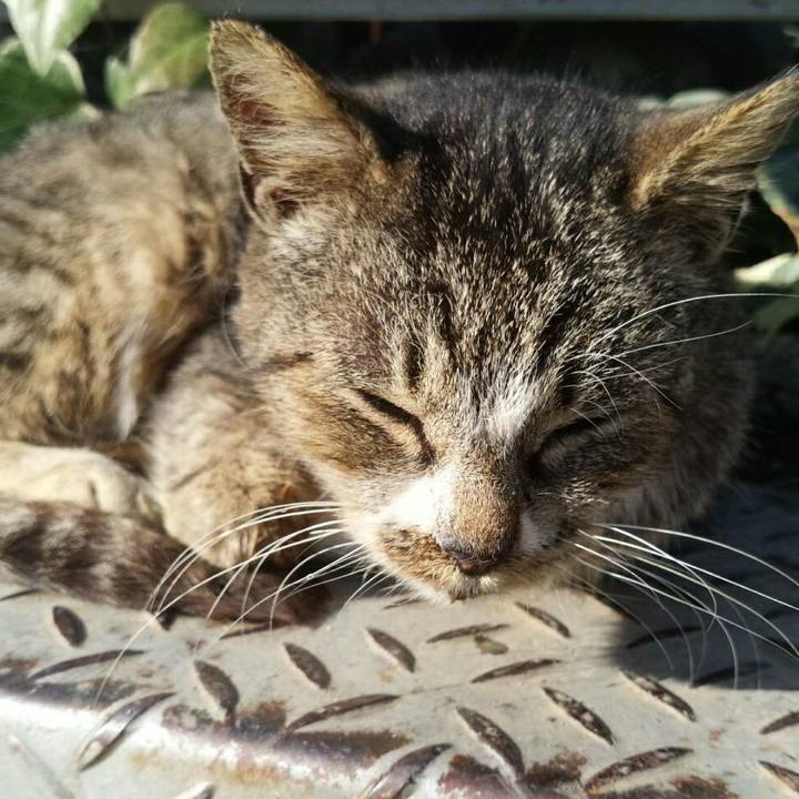 763fc906 7016 4be5 a293 952b7699204f 1512449997150