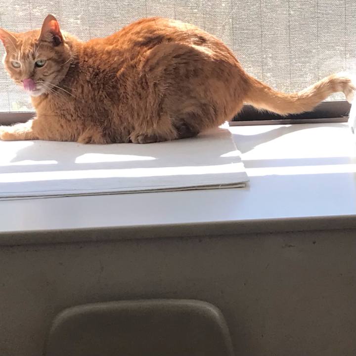 763fd830 0593 4da3 a098 ae266705a032 1615870945619