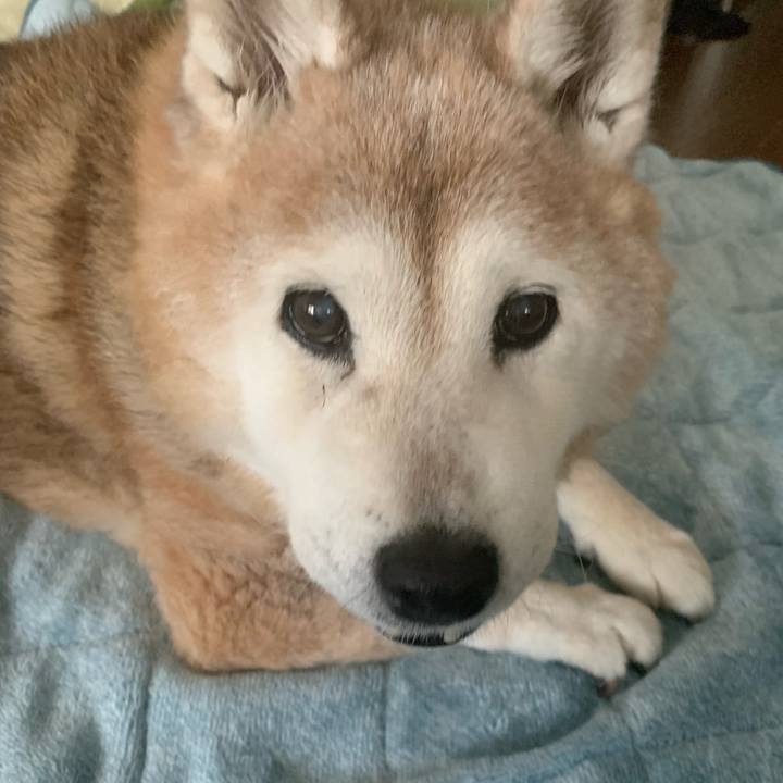 763fe251 0d57 4481 842d 2bc75ffc0c62 1674377995578