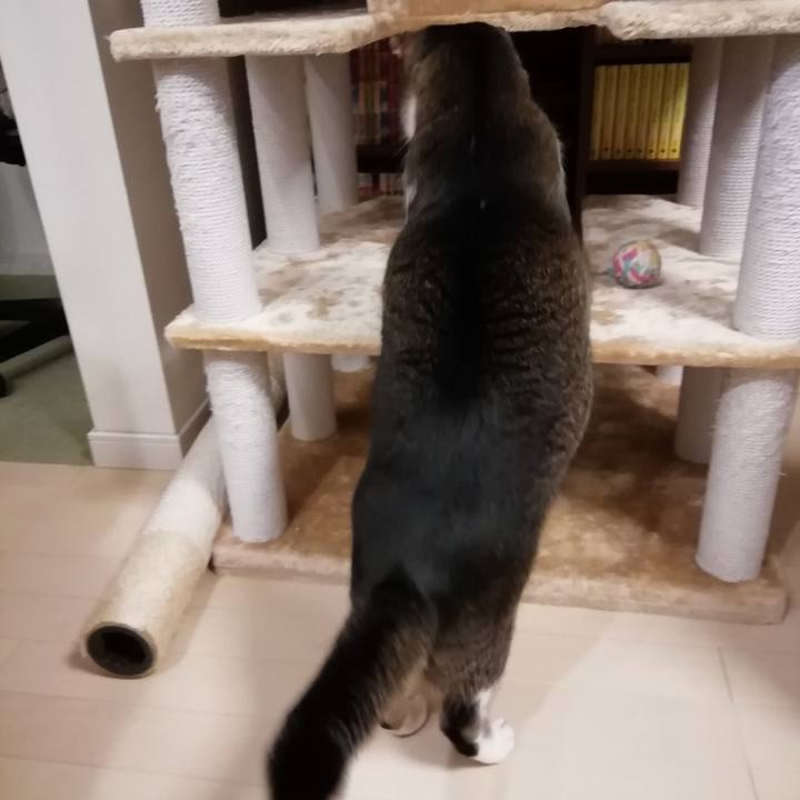 763ffdd1 7cab 4f66 9b05 096fdb2f3069 1560780381532